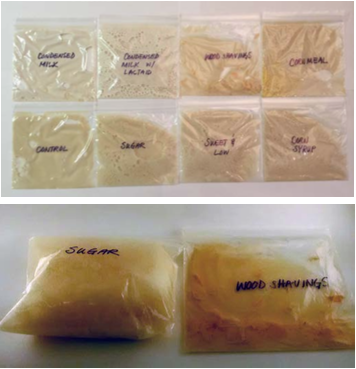 The top image shows the beginning of fermentation after 5 minutes. The bottom image, taken after 20 minutes, shows the bag with the sugar feedstock full of CO2 gas, while the wood shavings bag is flat.