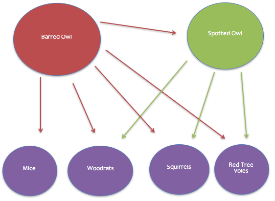 Specialist versus generalist diagram. 