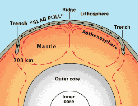 Diagram of Earth&#039;s plate tectonics. 