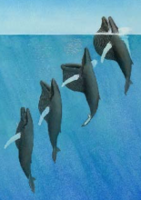 Whales
