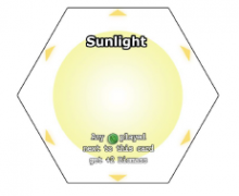Sunlight